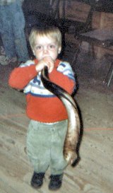 Blow The Shofar In Camp Manasseh
